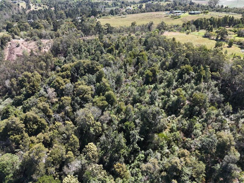 0 Bedroom Property for Sale in Hoekwil Western Cape